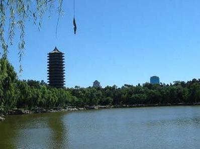 北京大學(xué)