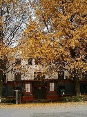 四川大學(xué)