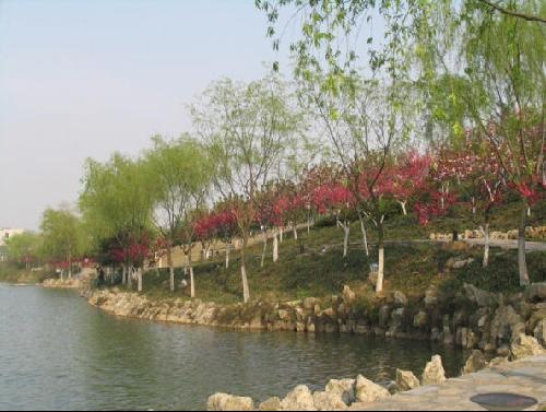 南京師范大學(xué)