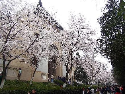 武漢大學(xué)