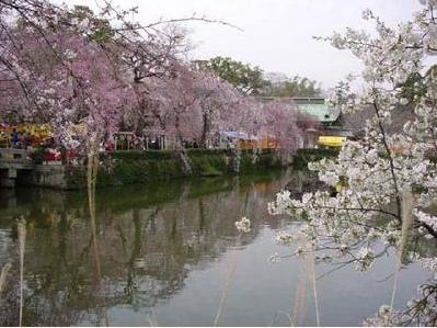 風景最美大學